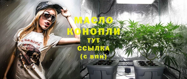 хмурый Михайловск