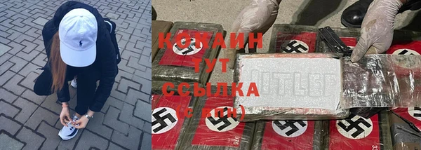 прущие крисы Алексин