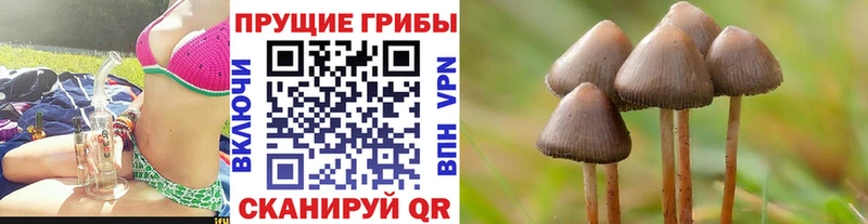 купить наркотик  Юхнов  Галлюциногенные грибы ЛСД 